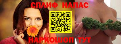 крисы Ставрополь