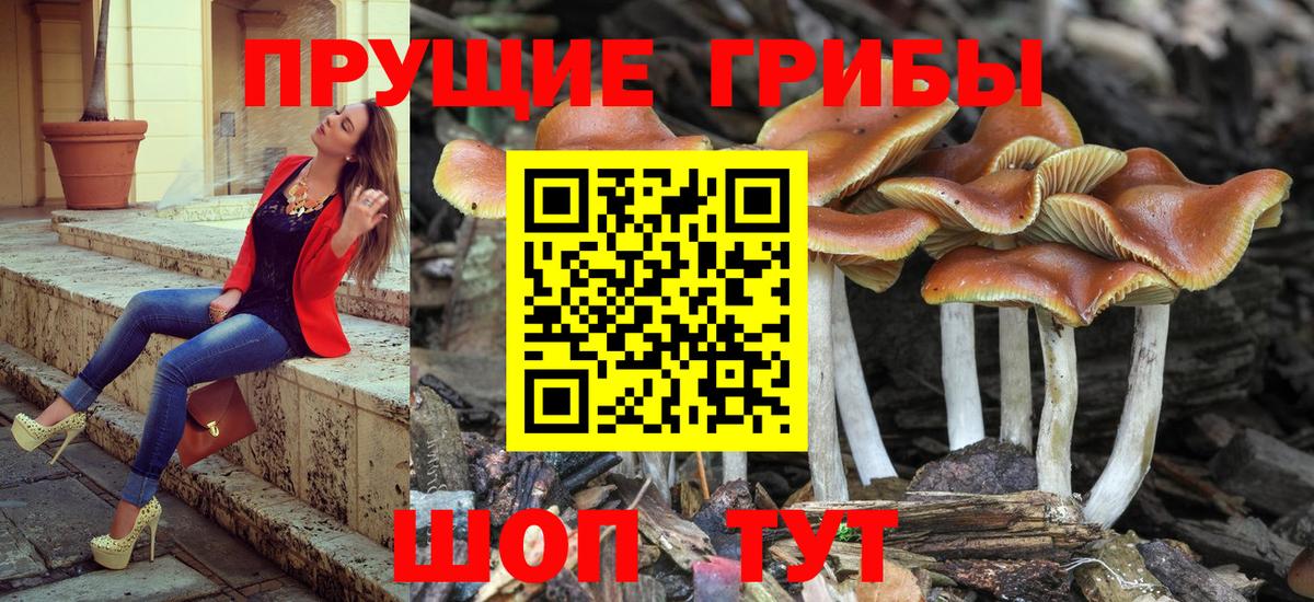 Галлюциногенные грибы ЛСД  Вход с VPN  Обь 