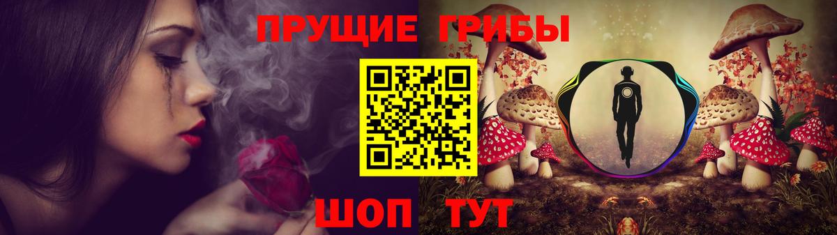 Псилоцибиновые грибы GOLDEN TEACHER Обь